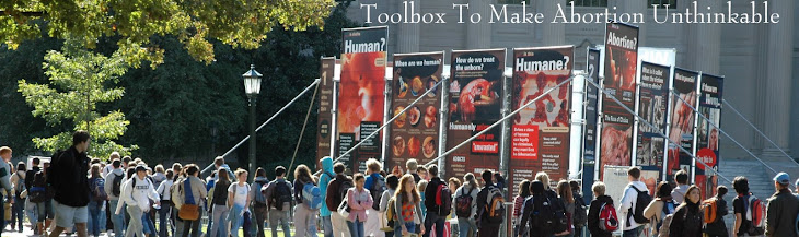 Toolbox to Make Abortion Unthinkable