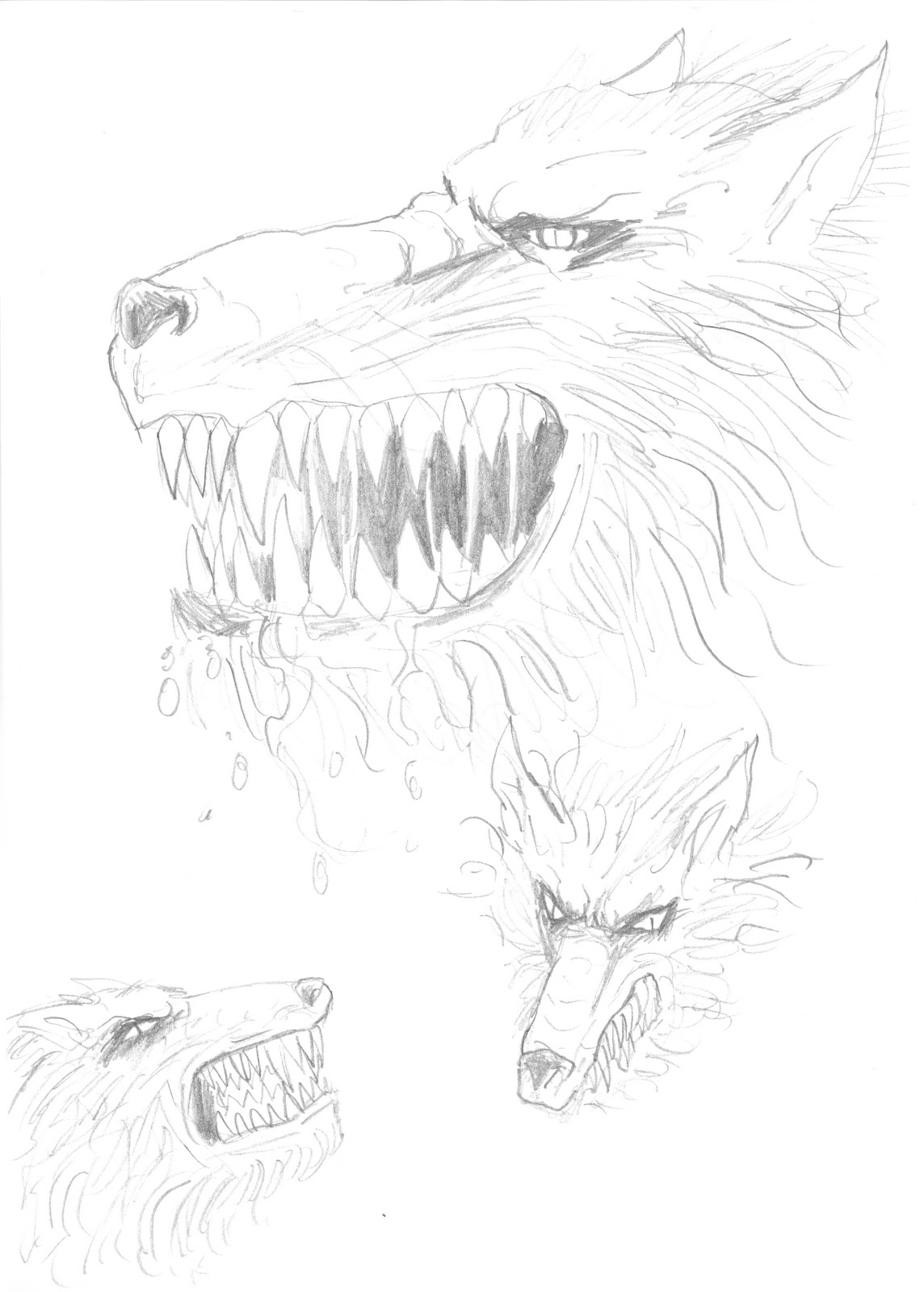 Wayne Tully Horror Art: Demon Wolf Drawing Head Studies