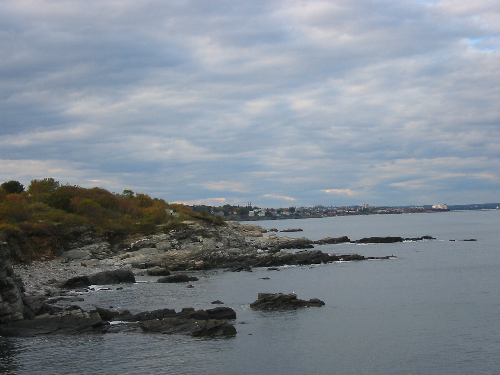 [IMG_0827.JPG]