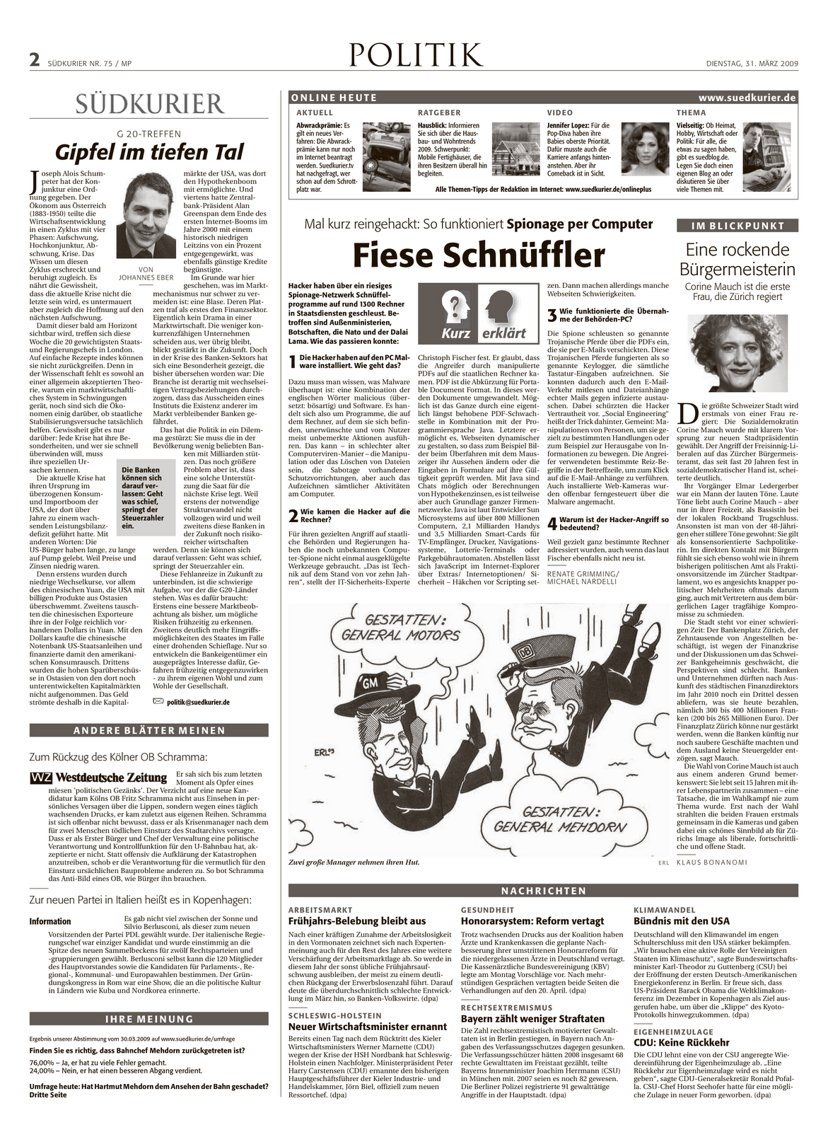 [Gipfel+im+tiefen+Tal,+Leiter+20090331.png]