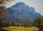 The Gardens are at the foot of the back side of Table Mountain