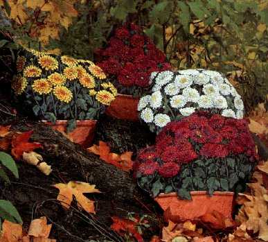 [painting+flowers+on+rocks+table+of+contents+90.JPG]