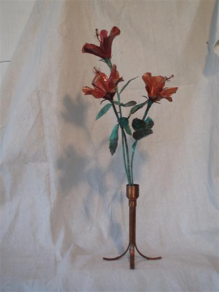 [P0000002+(Medium).JPG]