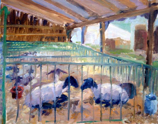 4 h sheep barn