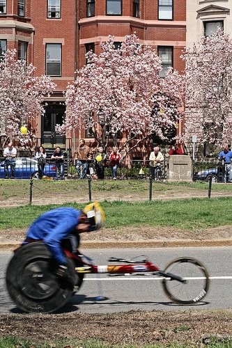 [SavickiInBoston2008-Blossoms.jpg]
