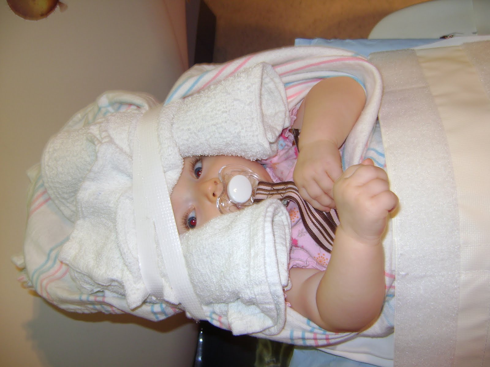 [DSC02775.JPG]