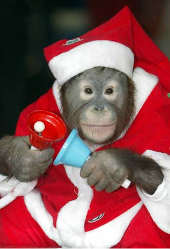[monkey+santa.jpg]