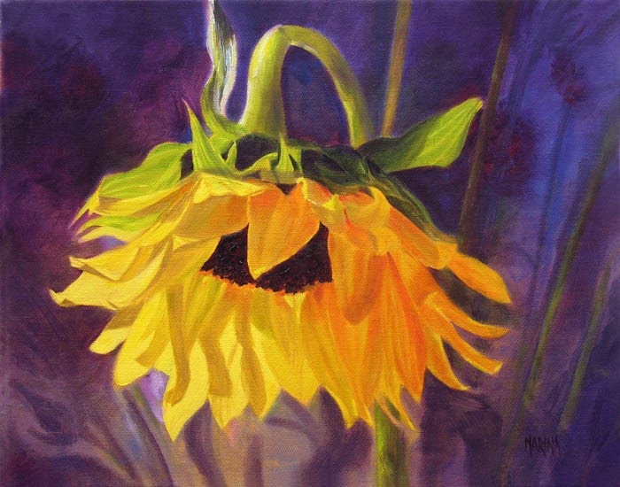 Marina Petro Adventures In Daily Painting Sunflower GlowFloral