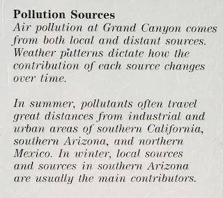 Eye opener essay 05 image