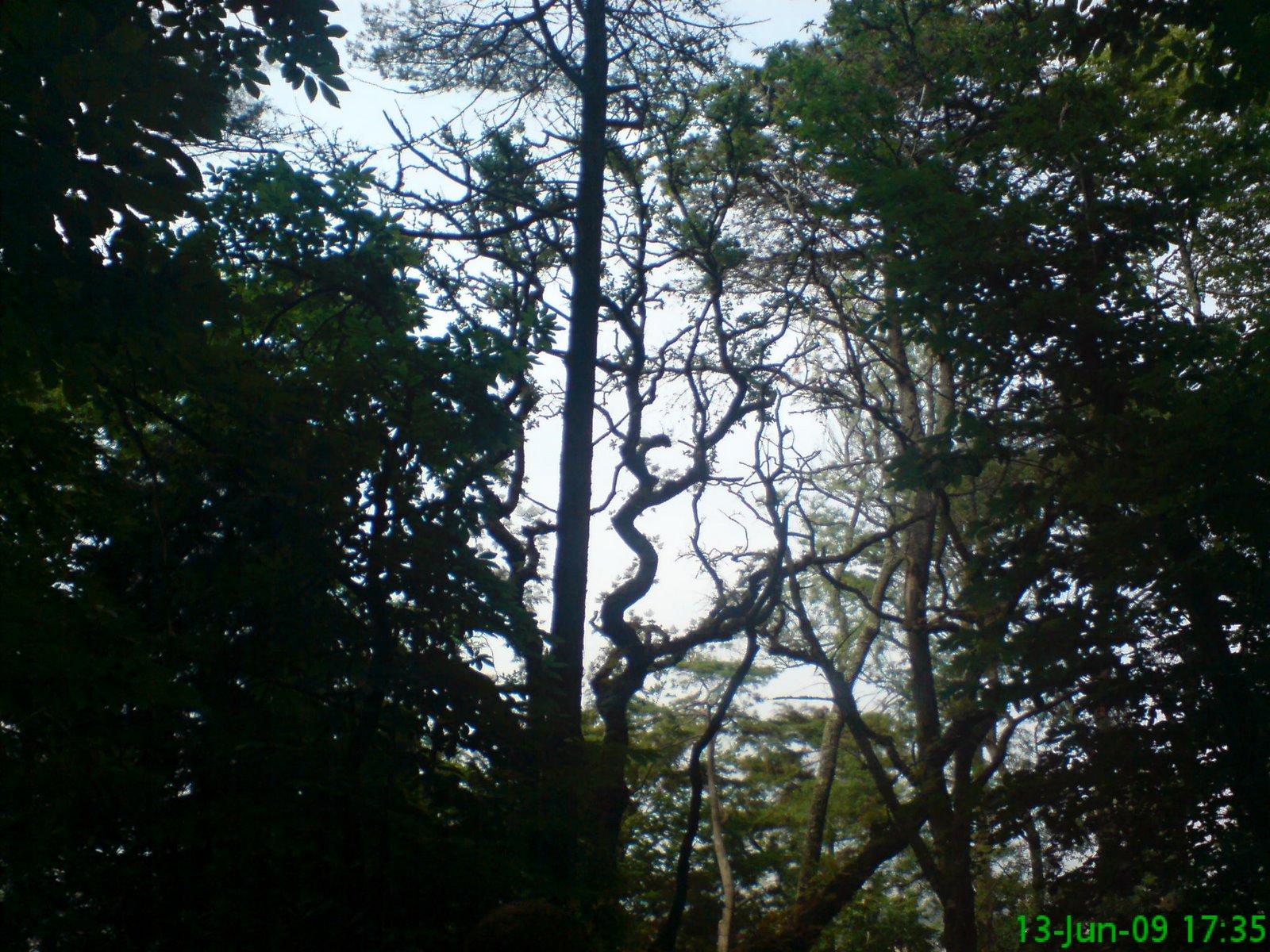 [DSC04509.JPG]