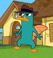 Perry♥