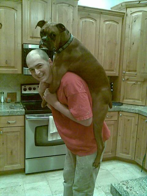 [Piggy+Back+ride.jpeg]