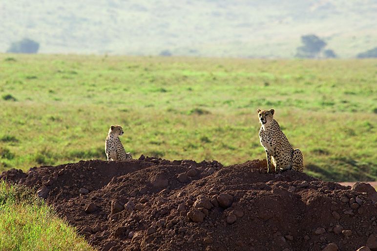 [055+-+Tembea+Tanzania+Ngorongoro.jpg]