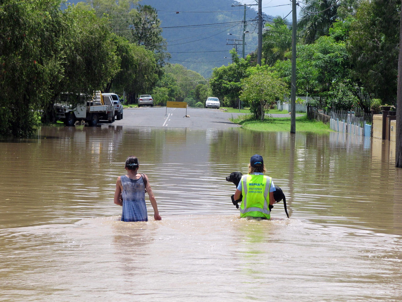 Floods Video HQ Queensland Floods Horse rescued from Queensland