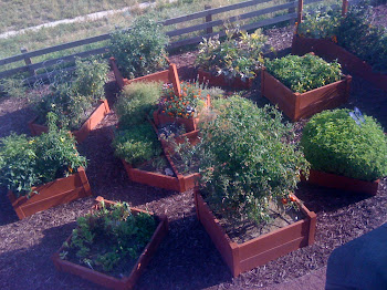 Th Octo Garden Sept 2009