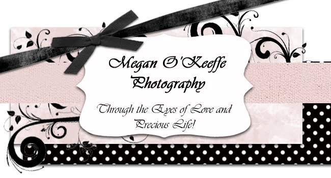 Megan O'Keeffe Photography