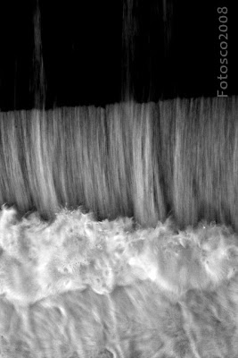 L'eau dans tous ses états (2)