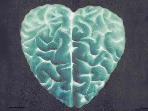 [inima_creier.jpg]