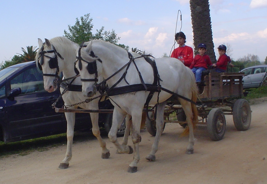 [DSC04587.JPG]