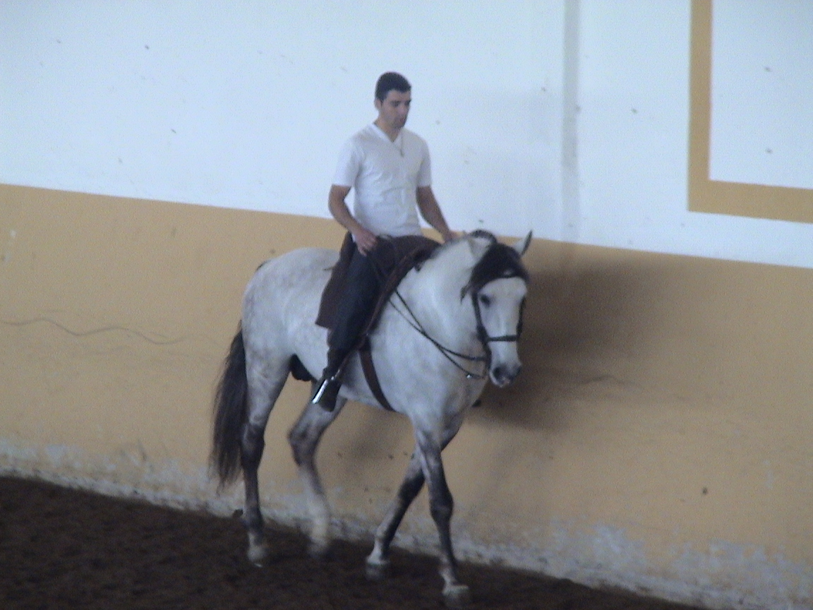 [DSC00324.JPG]