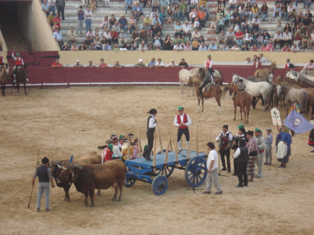 [DSC06215.JPG]