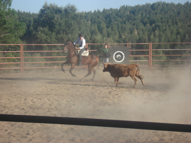 [DSC07961.JPG]