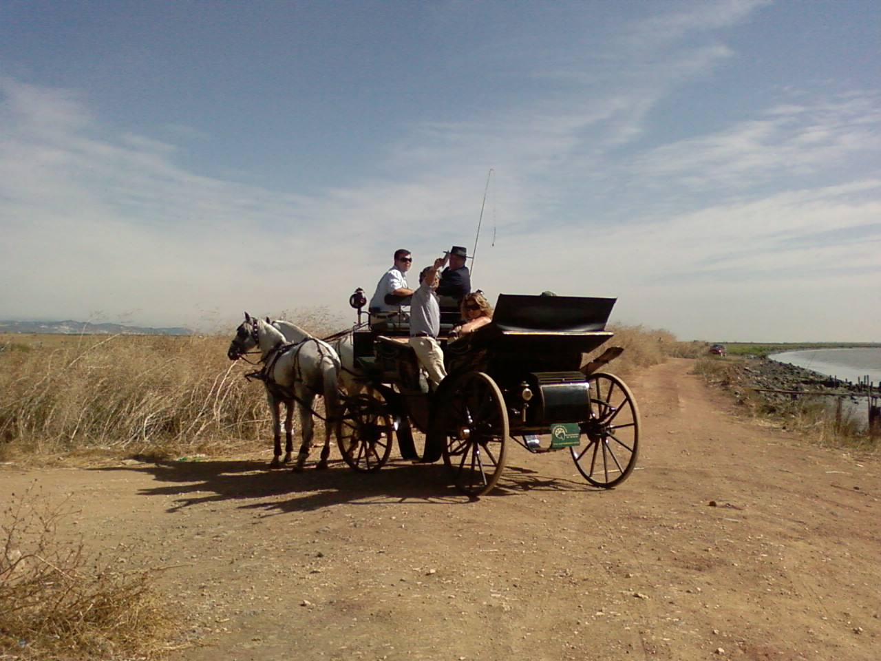 [SP_A0271.jpg]