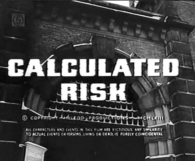 Calculated Risk movie