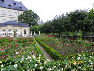 Jardín de Rosas