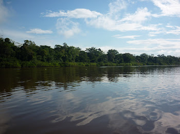 Lago de Yarinacocha