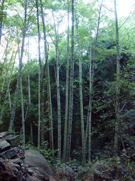 [DSC07275.jpg]