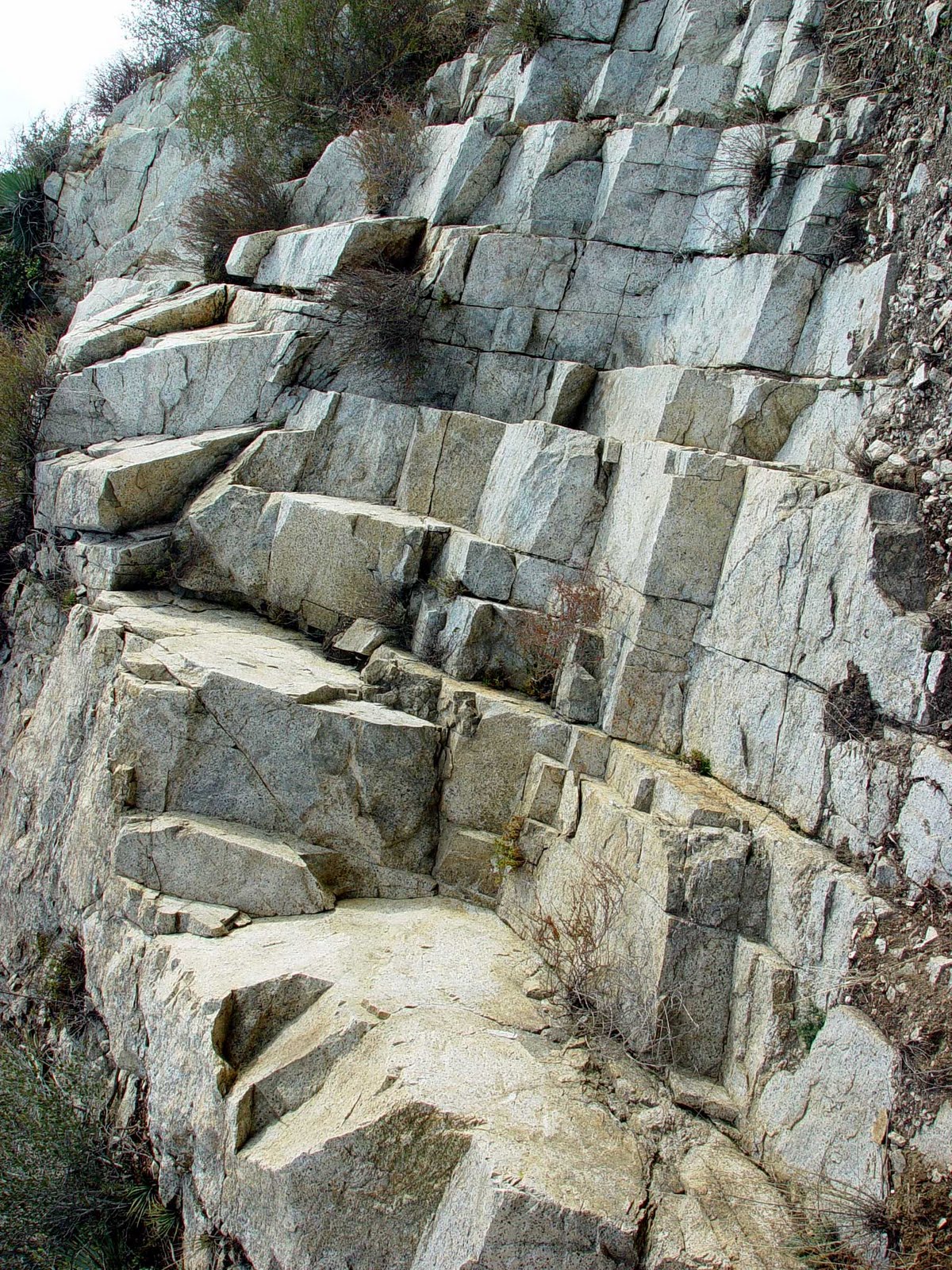 [DSC08376b.jpg]