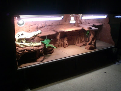 best-cages-for-bearded-dragon-8.jpg