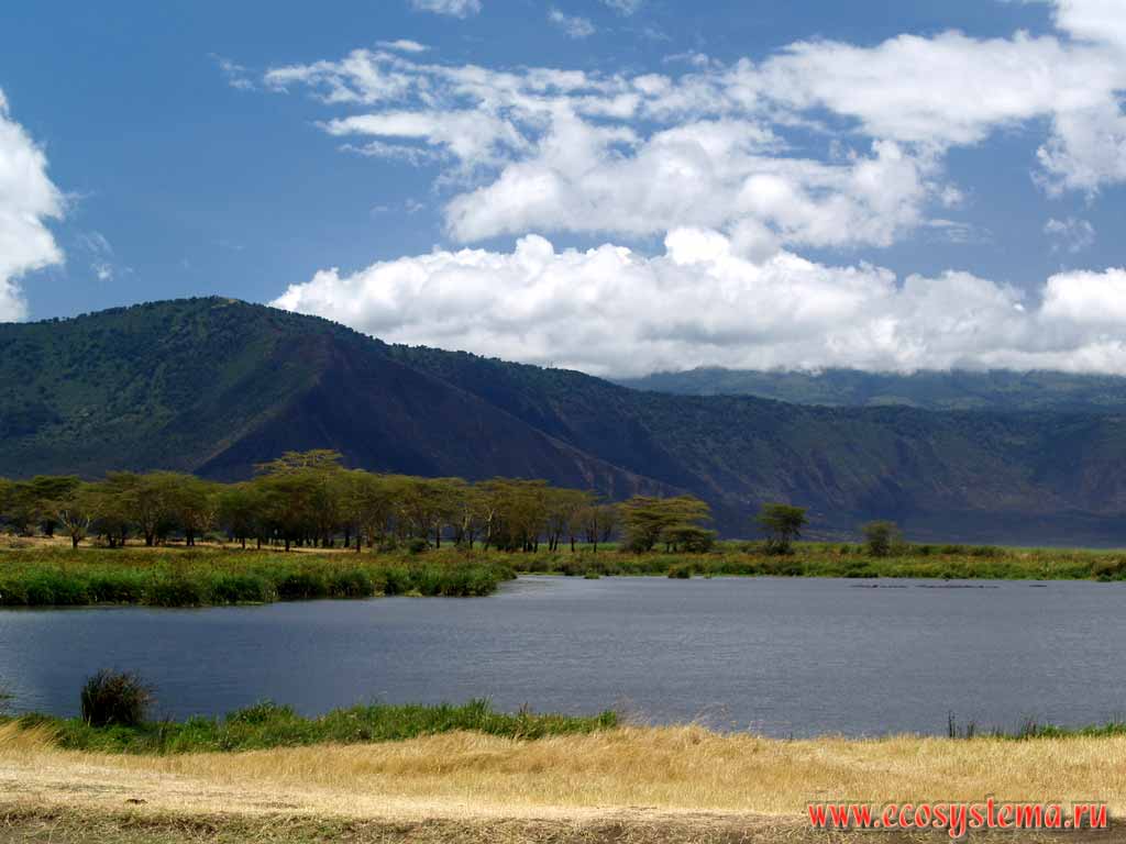 Lake In Africa