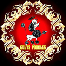 GULYS TOY POODLES