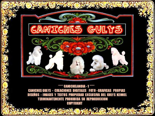 CANICHESGULYS-CANICHELANDIA-1-