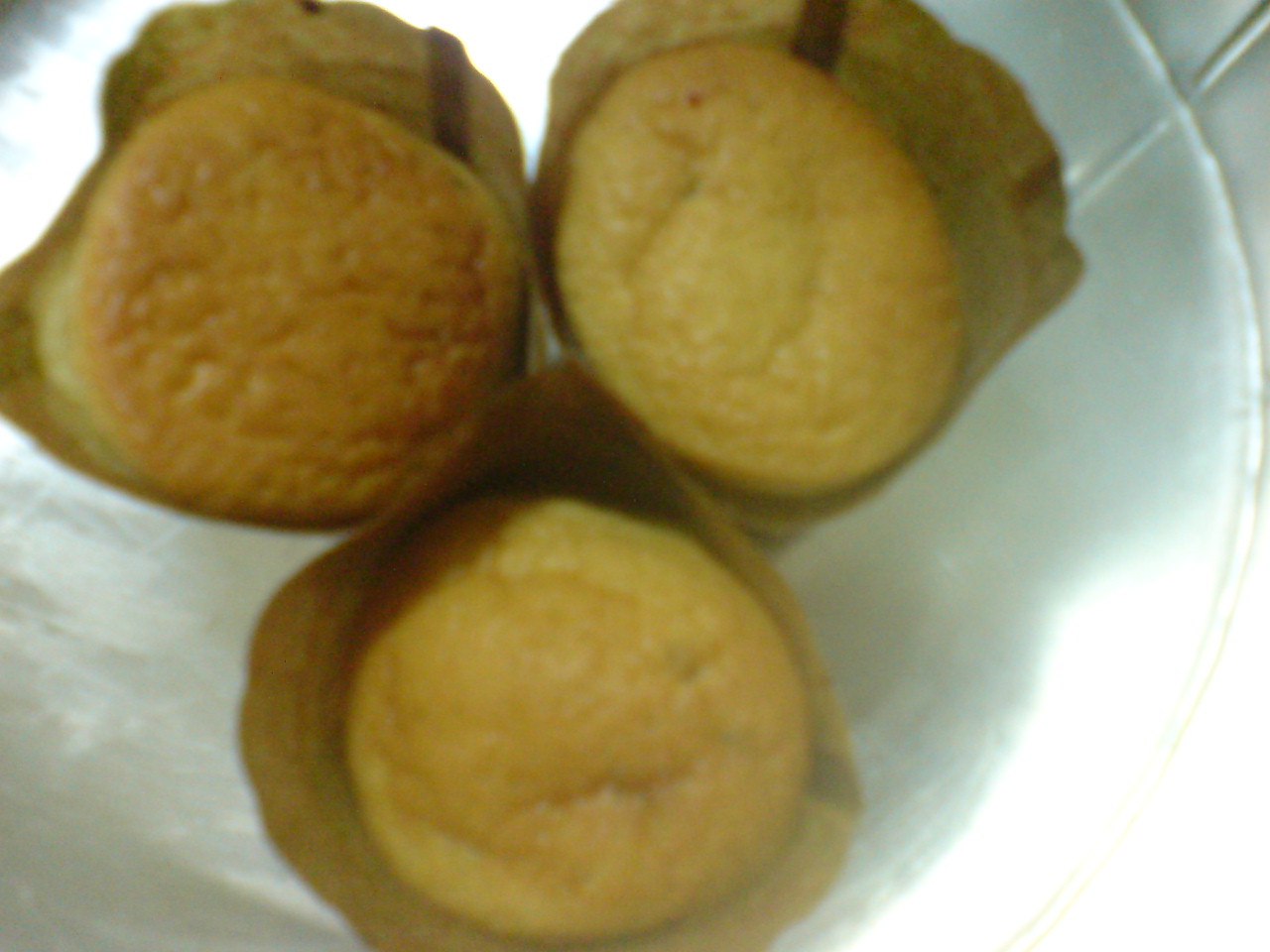 [DSC01467.JPG]