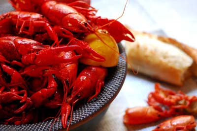 Crawfish+boil