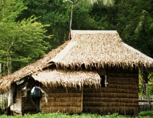 Original Nipa Hut in the Philippines