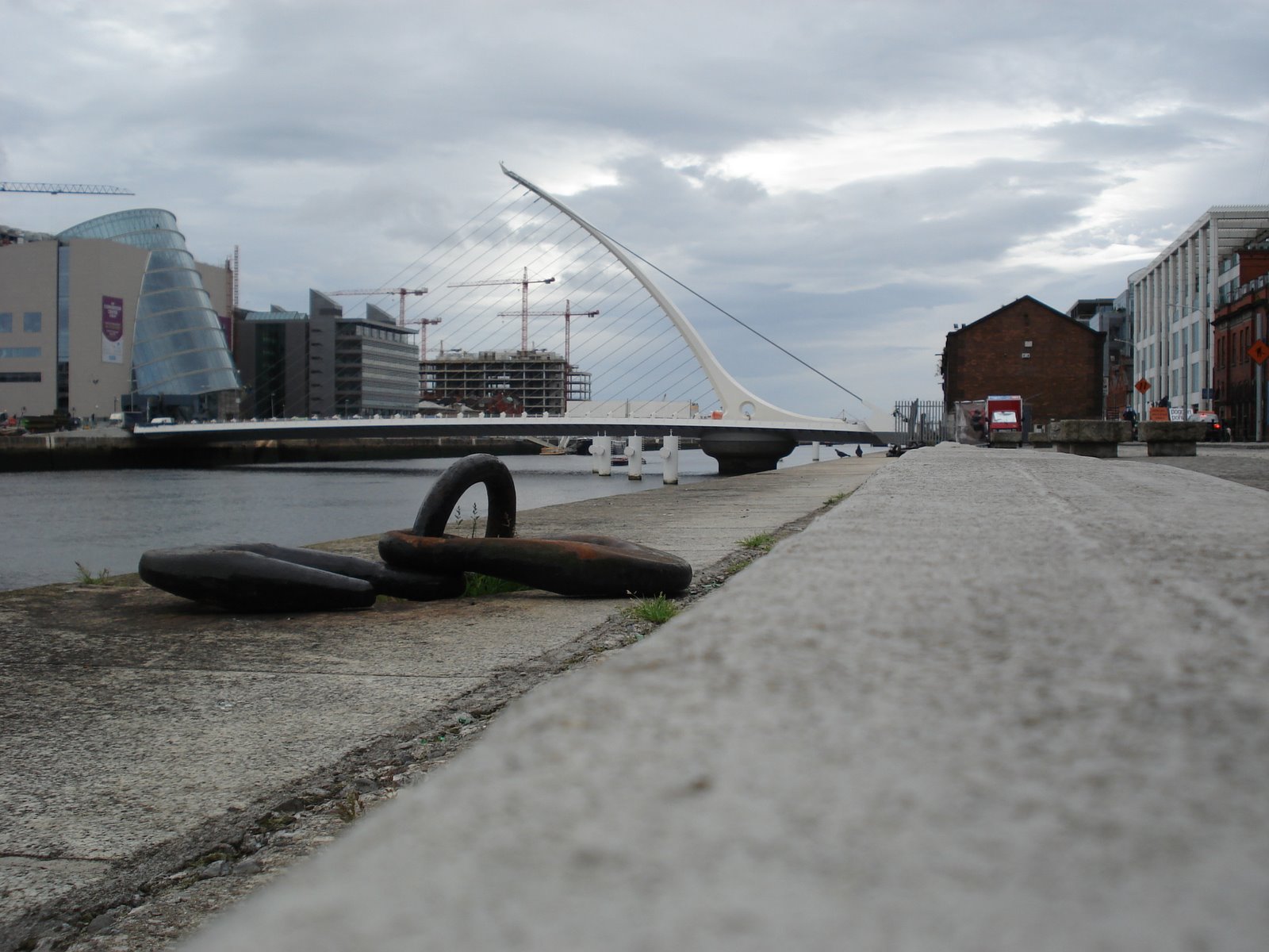 [DSC03895.JPG]