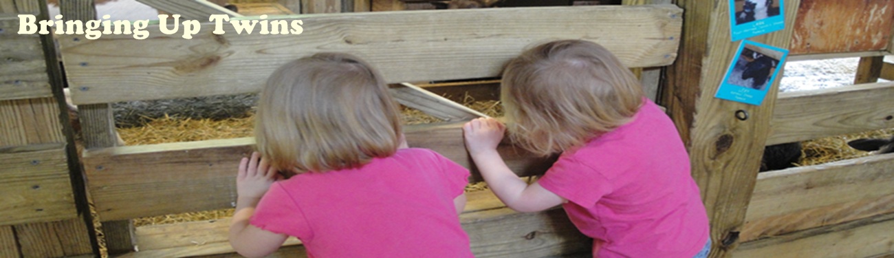 Bringing Up Twins