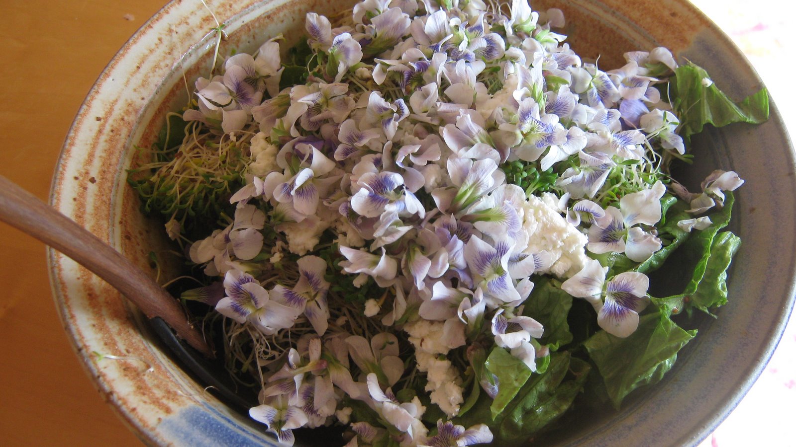 [IMG_1189.JPG]
