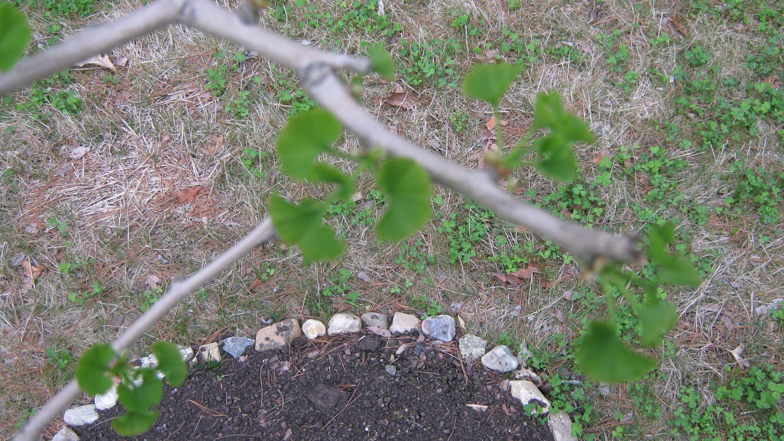 [IMG_1213.JPG]