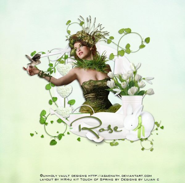 Designs By Rose