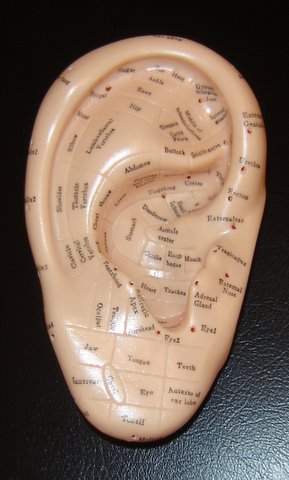 [ear+model.JPG]