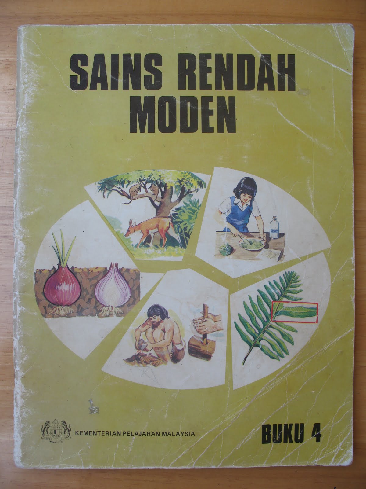 Buku Sains