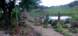 Project of Compoust
