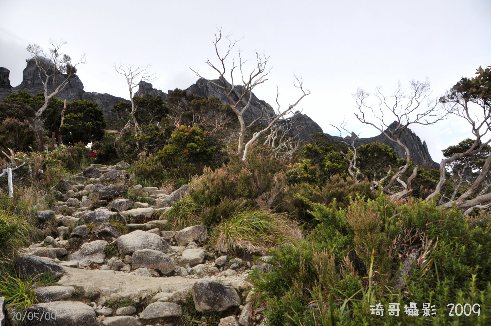 [DSC_063.JPG]