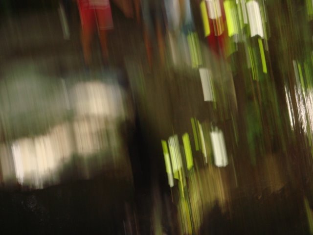 [DSC00287.JPG]