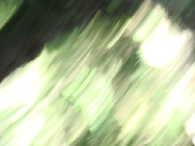 [DSC00282.JPG]